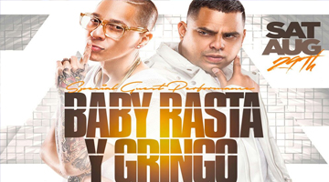 Baby Rasta Y Gringo