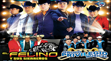 Tierra Cali, El Felino Y Su Sierreños, Grupo Privilegio Musical