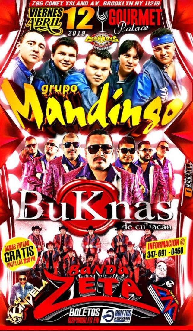 GRUPO MANDINGO, BUKNAS DE CULIACAN & BANDA ZETA