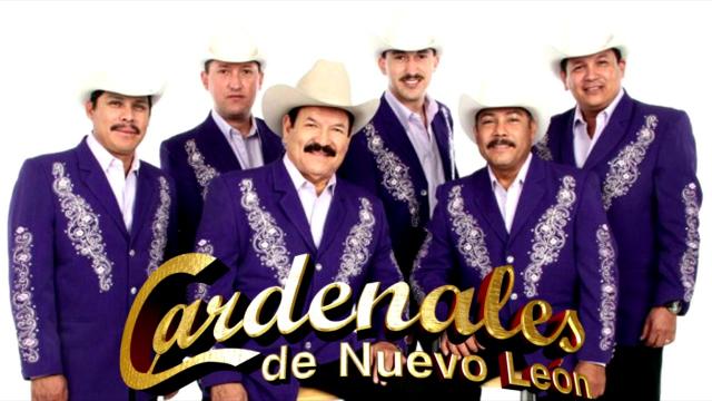 Cardenales De Nuevo Leon