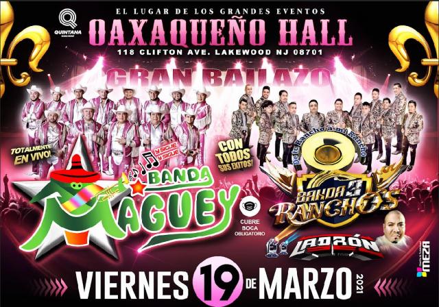 Banda Maguey