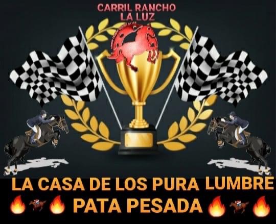 Buy tickets for Carreras de lujo Carreras de lujo