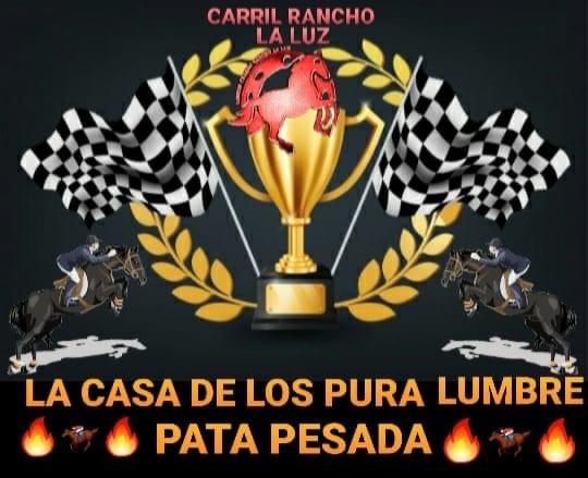 Carreras de lujo