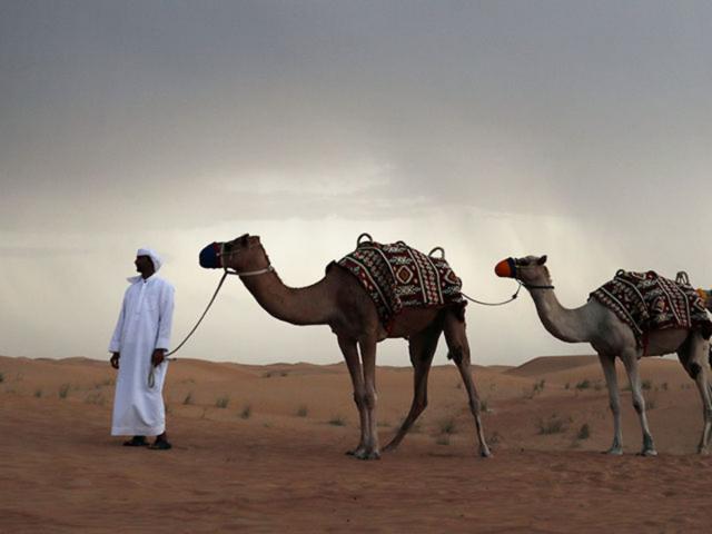 Buy tickets for Dubai Sightseeing Trip Dubai Sightseeing Trip