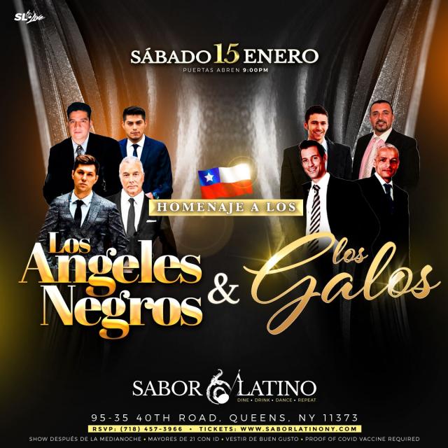 Homenaje a Los Ángeles Negros & Los Galos
