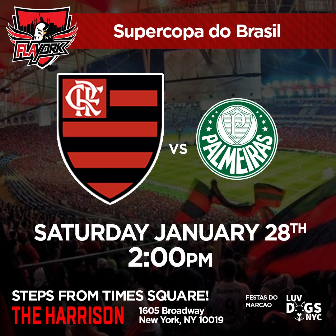 FLAMENGO vs PALMEIRAS