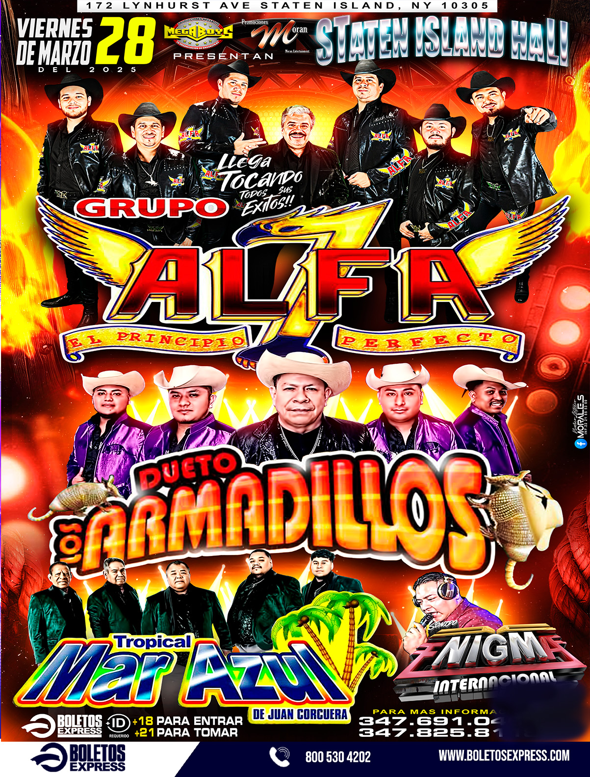 GRUPO ALFA & DUETO LOS ARMADILLOS