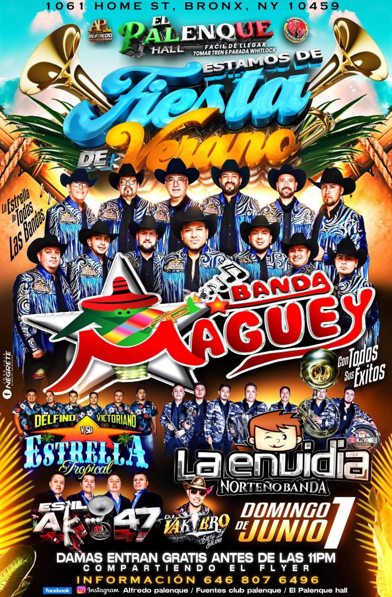 BANDA MAGUEY | DELFINO VICTORIANO Y SU ESTRELLA TROPICAL | LA ENVIDIA NORTEÑA | AK47