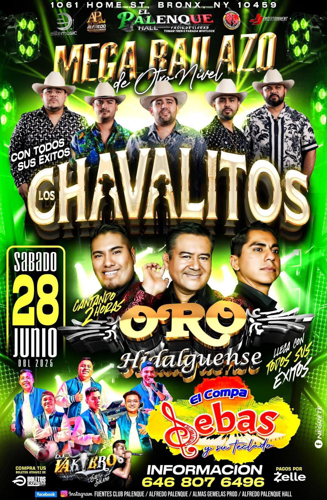 LOS CHAVALITOS | ORO HIDALGUENSE & EL COMPA SEBAS Y SU TECLADO