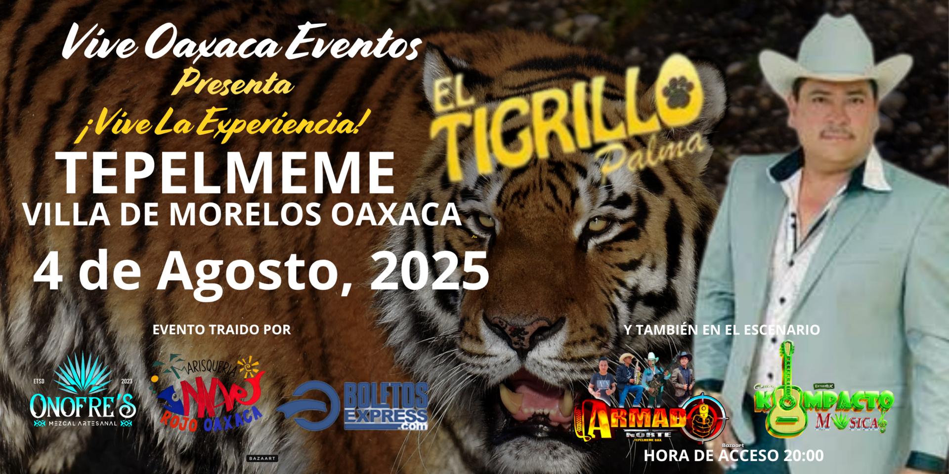 Buy tickets for TEPELMEME 2025 TEPELMEME 2025