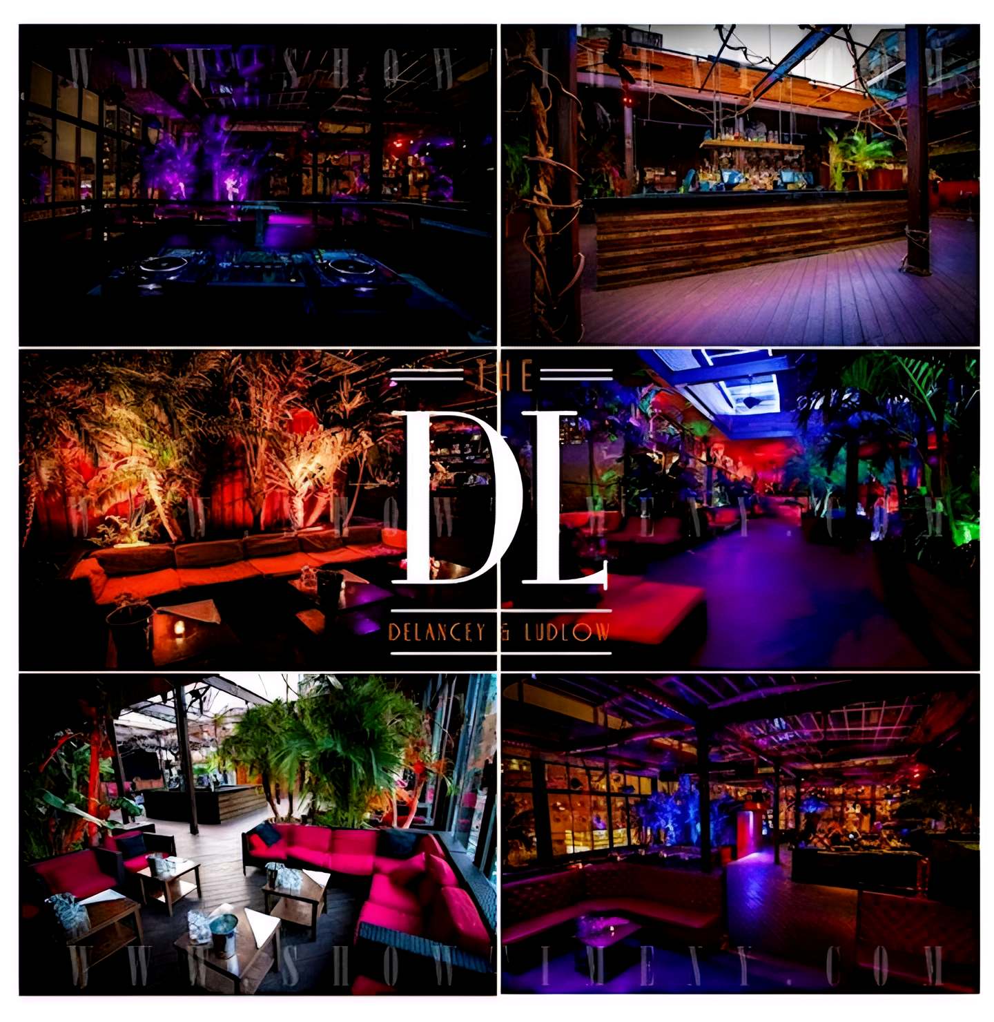 Fridays on the Roof at DL Rooftop NYC | Mts Productions