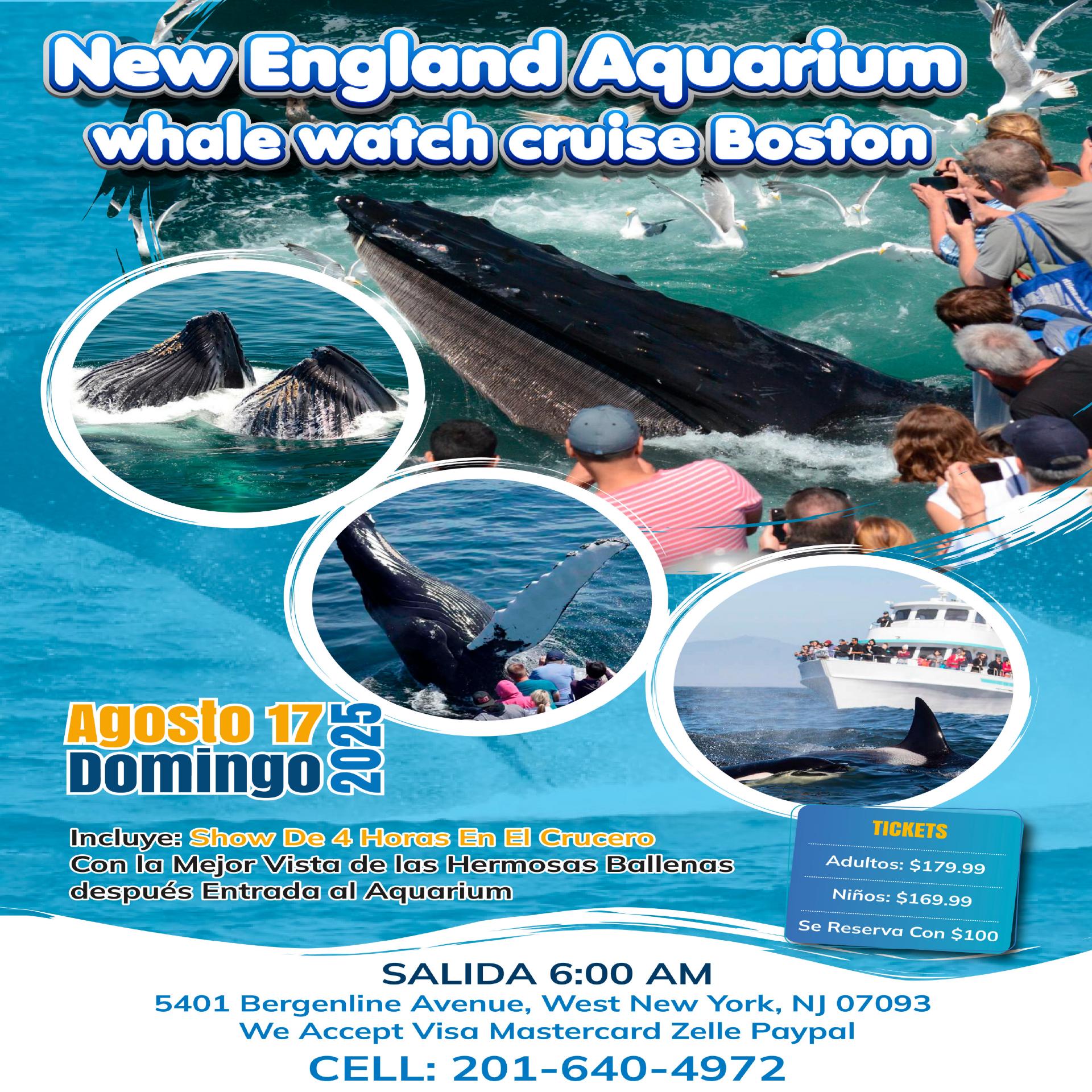 New England Aquarium whale watch cruise Boston