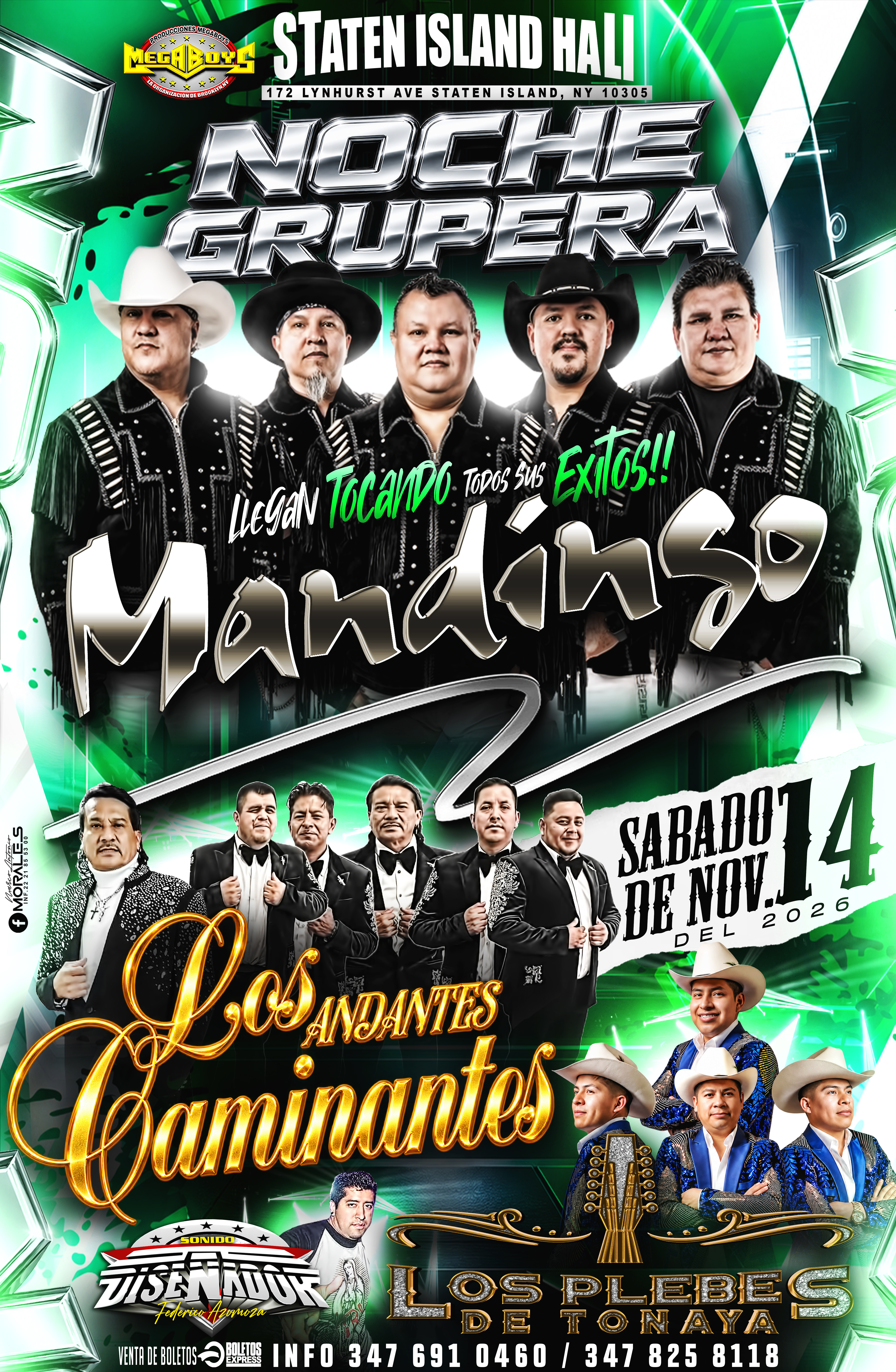NOCHE GRUPERA